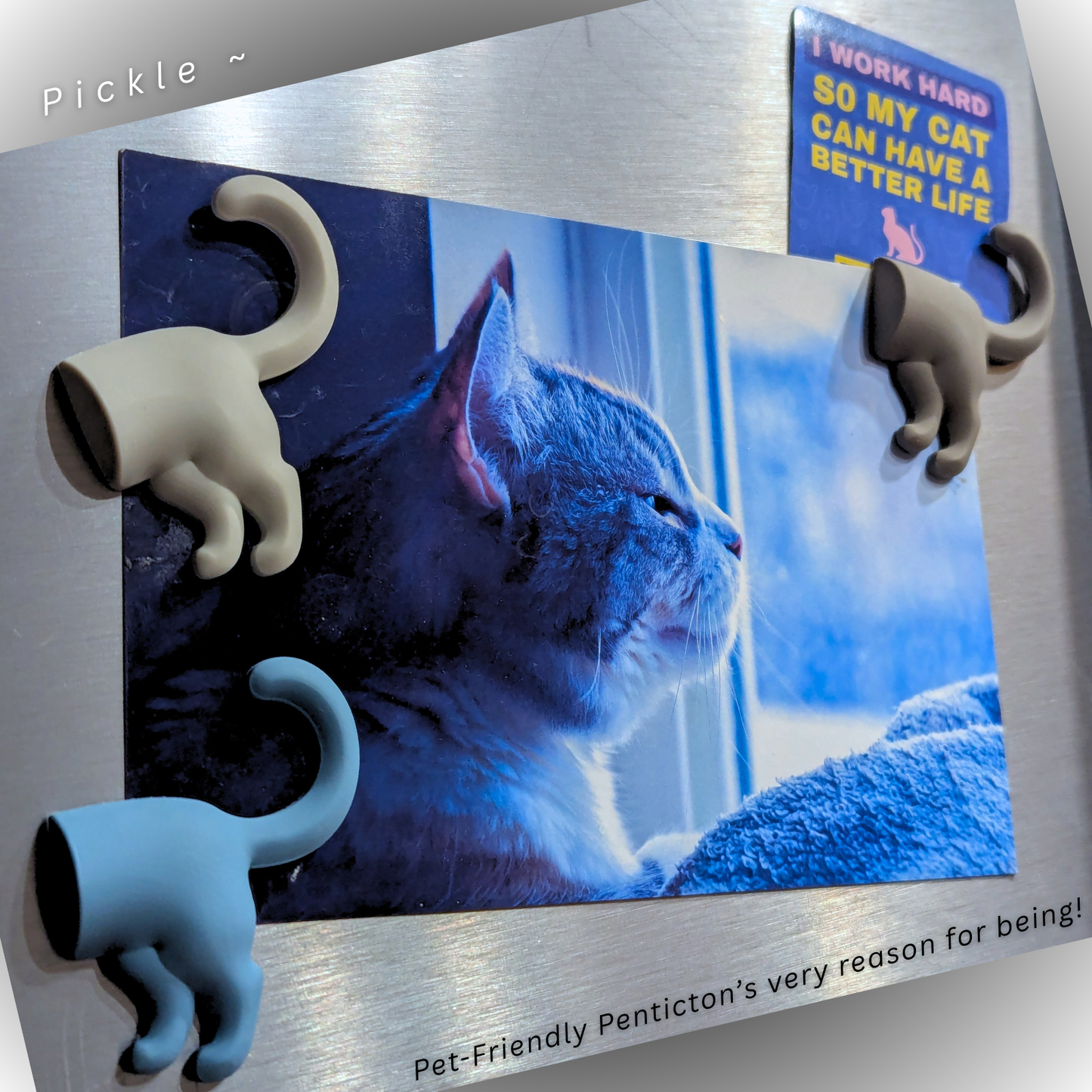 PET BUTT MAGNETS